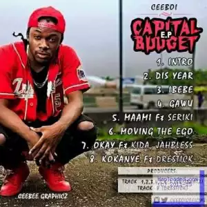 Capital Budget E.P BY Ceeboi